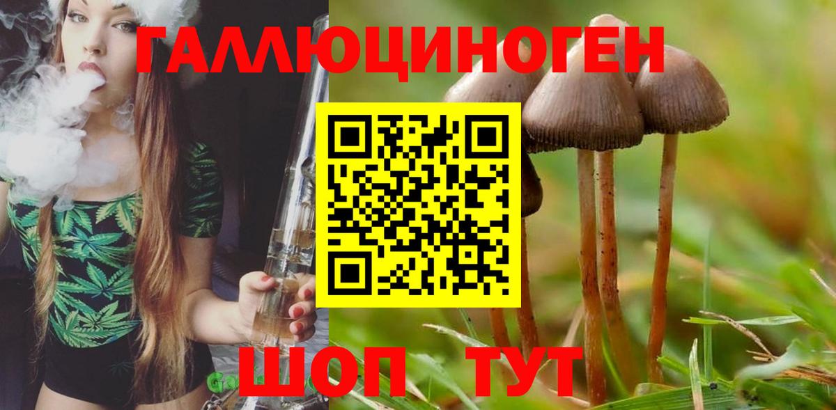 Псилоцибиновые грибы GOLDEN TEACHER Нижний Тагил