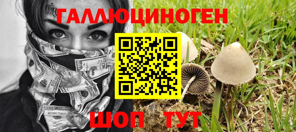 Галлюциногенные грибы Psilocybine cubensis  Псилоцибиновые грибы Magic Shrooms  Нижний Тагил  Вход с VPN 
